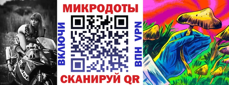 Галлюциногенные грибы Magic Shrooms  Купить  Владивосток 