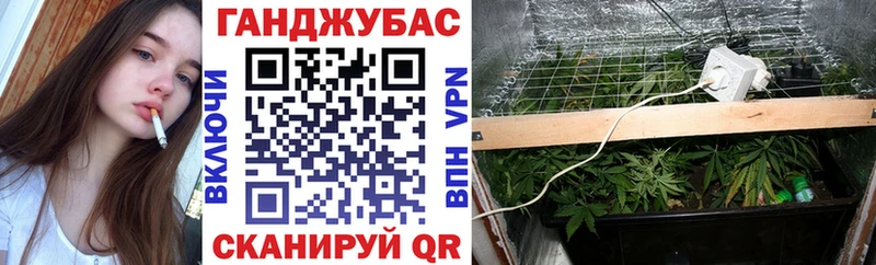 Бошки марихуана White Widow  Купить закладки  Владивосток 